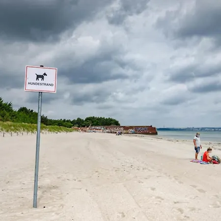 Prora - Seeigel 公寓 *